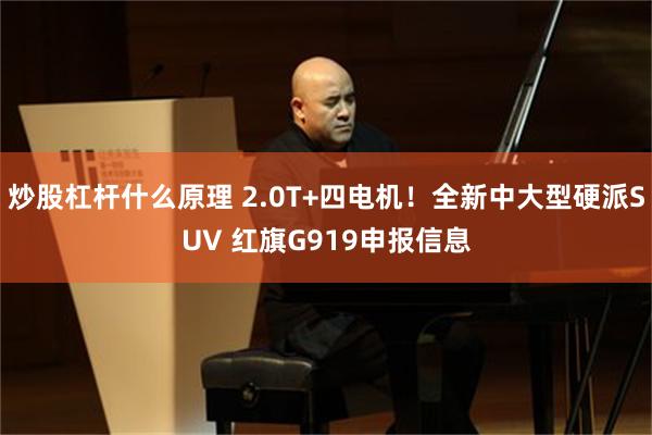 炒股杠杆什么原理 2.0T+四电机！全新中大型硬派SUV 红旗G919申报信息