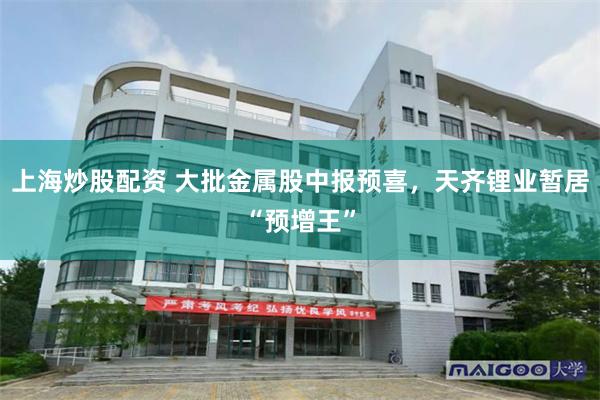 上海炒股配资 大批金属股中报预喜,天齐锂业暂居“预增王”