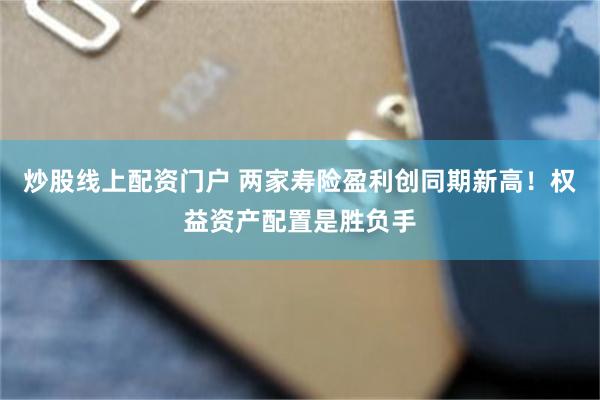 炒股线上配资门户 两家寿险盈利创同期新高!权益资产配置是胜负手