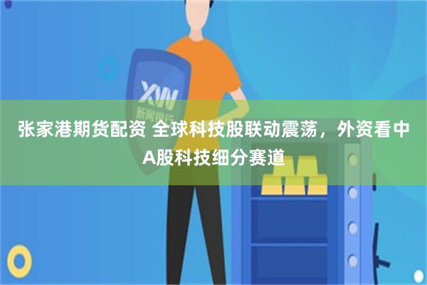 张家港期货配资 全球科技股联动震荡，外资看中A股科技细分赛道