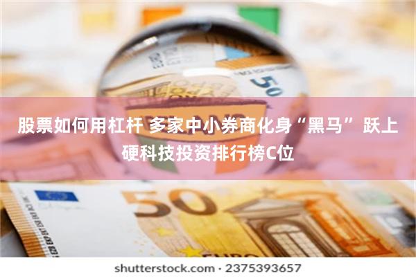 股票如何用杠杆 多家中小券商化身“黑马” 跃上硬科技投资排行榜C位