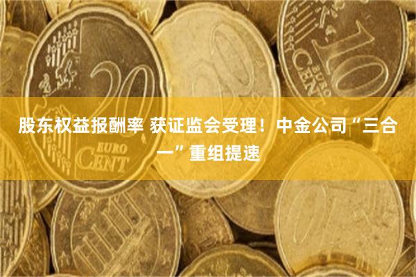 股东权益报酬率 获证监会受理!中金公司“三合一”重组提速