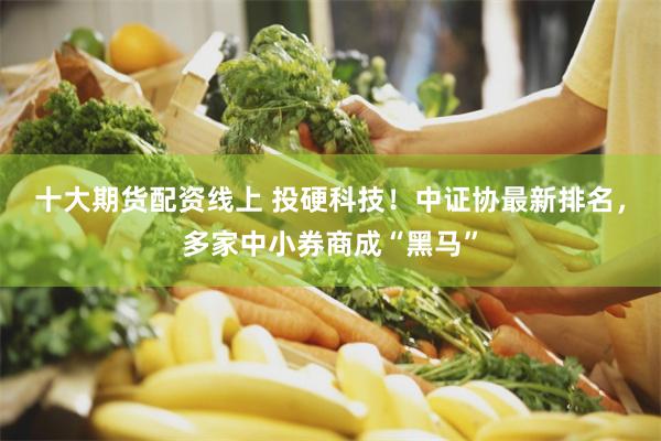 十大期货配资线上 投硬科技！中证协最新排名，多家中小券商成“黑马”