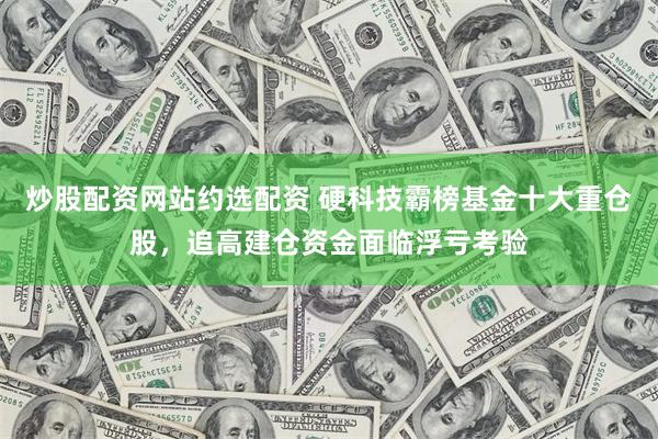 炒股配资网站约选配资 硬科技霸榜基金十大重仓股,追高建仓资金面临浮亏考验