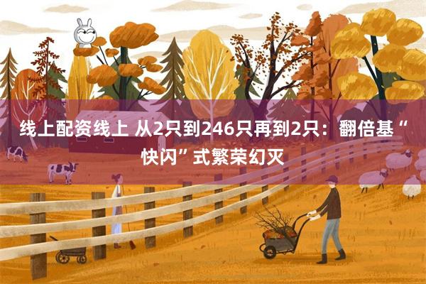 线上配资线上 从2只到246只再到2只：翻倍基“快闪”式繁荣幻灭