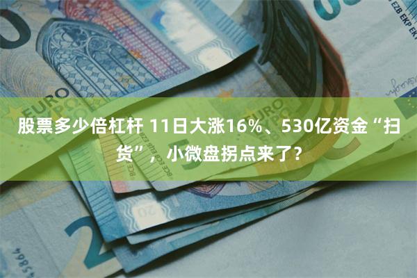 股票多少倍杠杆 11日大涨16%、530亿资金“扫货”，小微盘拐点来了？