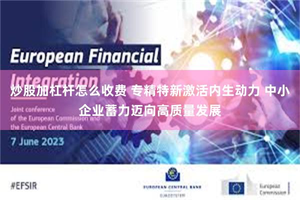 炒股加杠杆怎么收费 专精特新激活内生动力 中小企业蓄力迈向高质量发展