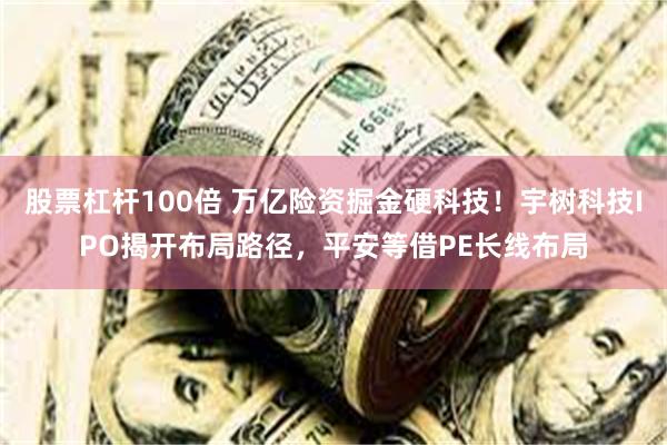 股票杠杆100倍 万亿险资掘金硬科技！宇树科技IPO揭开布局路径，平安等借PE长线布局