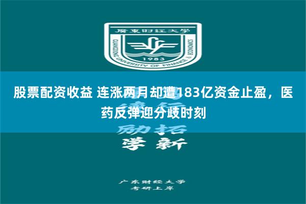 股票配资收益 连涨两月却遭183亿资金止盈,医药反弹迎分歧时刻