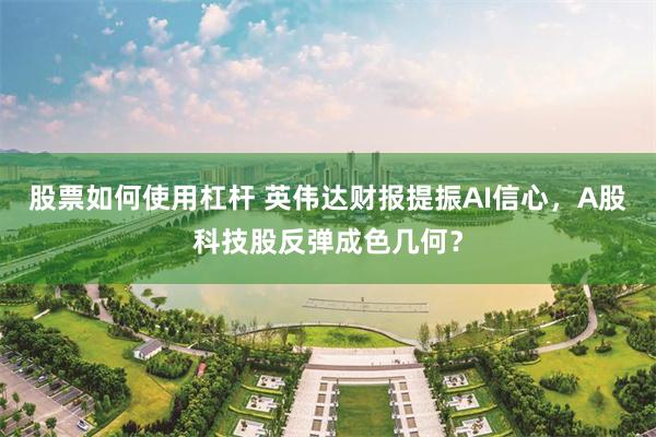 股票如何使用杠杆 英伟达财报提振AI信心，A股科技股反弹成色几何？