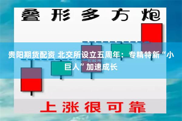 贵阳期货配资 北交所设立五周年：专精特新“小巨人”加速成长