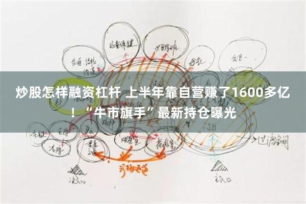 炒股怎样融资杠杆 上半年靠自营赚了1600多亿！“牛市旗手”最新持仓曝光