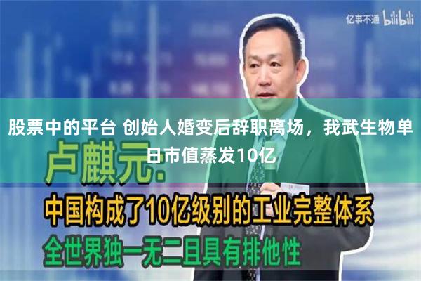 股票中的平台 创始人婚变后辞职离场，我武生物单日市值蒸发10亿