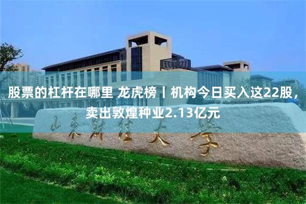 股票的杠杆在哪里 龙虎榜丨机构今日买入这22股，卖出敦煌种业2.13亿元