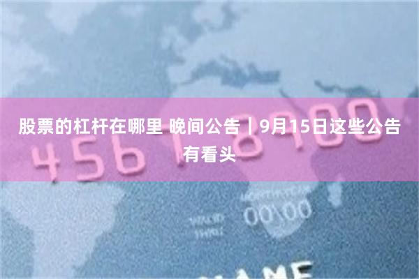 股票的杠杆在哪里 晚间公告｜9月15日这些公告有看头