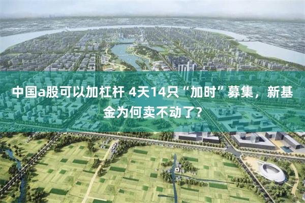 中国a股可以加杠杆 4天14只“加时”募集，新基金为何卖不动了？