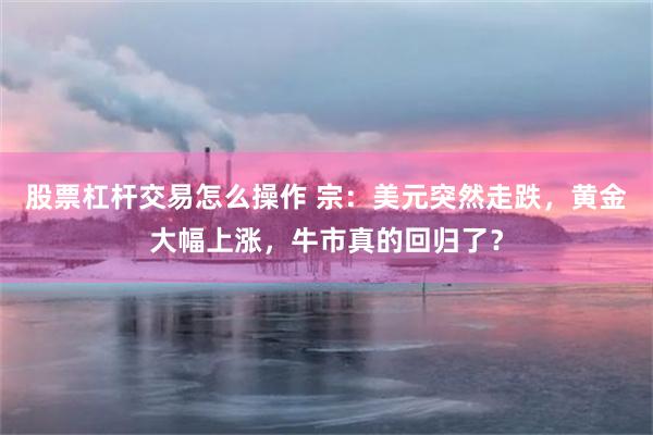 股票杠杆交易怎么操作 宗：美元突然走跌，黄金大幅上涨，牛市真的回归了？