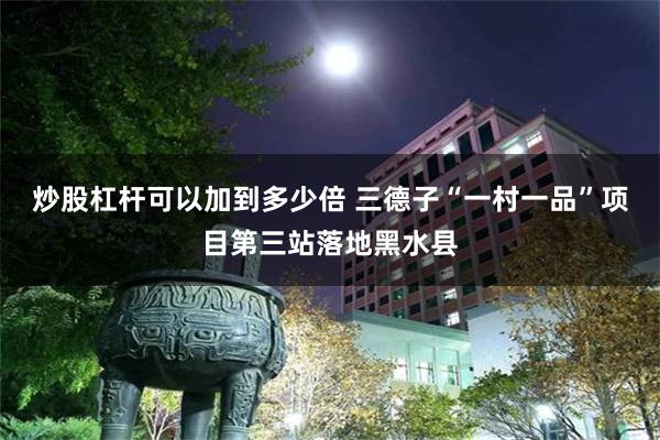 炒股杠杆可以加到多少倍 三德子“一村一品”项目第三站落地黑水县
