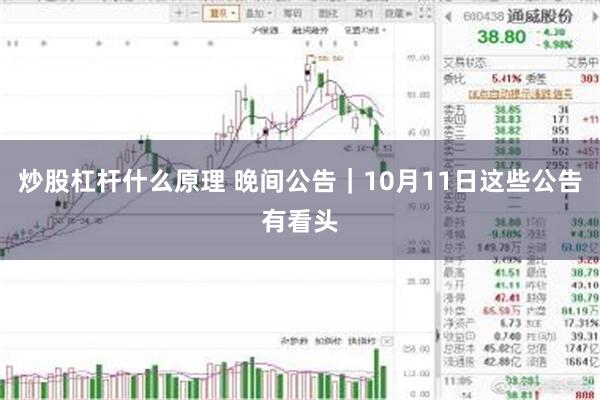 炒股杠杆什么原理 晚间公告｜10月11日这些公告有看头