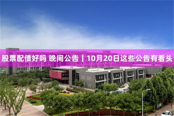 股票配债好吗 晚间公告｜10月20日这些公告有看头