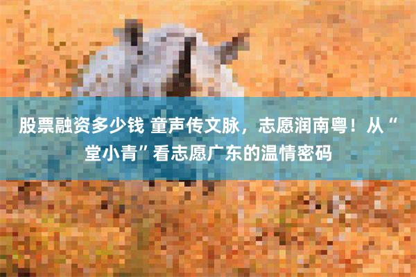 股票融资多少钱 童声传文脉，志愿润南粤！从“堂小青”看志愿广东的温情密码