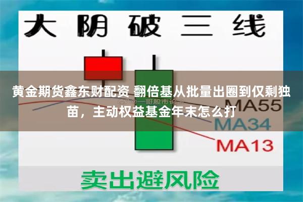 黄金期货鑫东财配资 翻倍基从批量出圈到仅剩独苗，主动权益基金年末怎么打