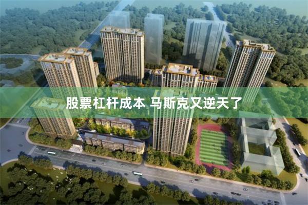 股票杠杆成本 马斯克又逆天了