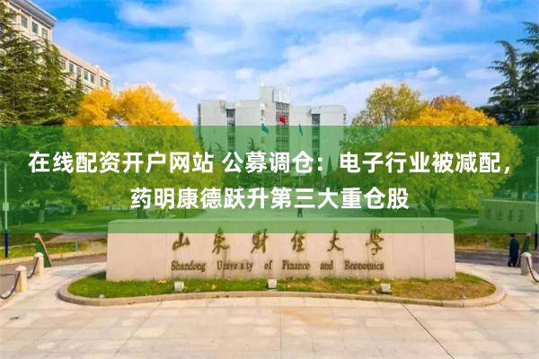 在线配资开户网站 公募调仓:电子行业被减配,药明康德跃升第三大重仓股